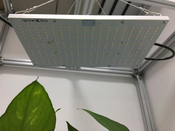 ETL 120W High PPFD Grow Light For Commercial Cultivation