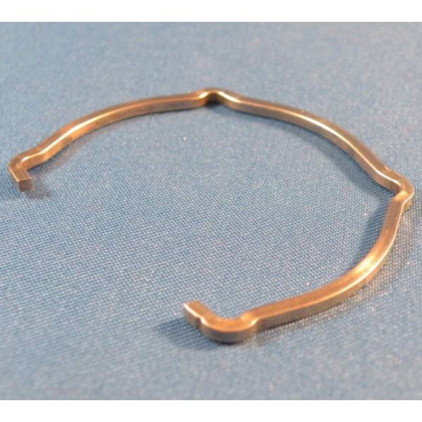 Topone Manufacturer Metal 304 Stainless Steel Forming Wire Spring Special Shape