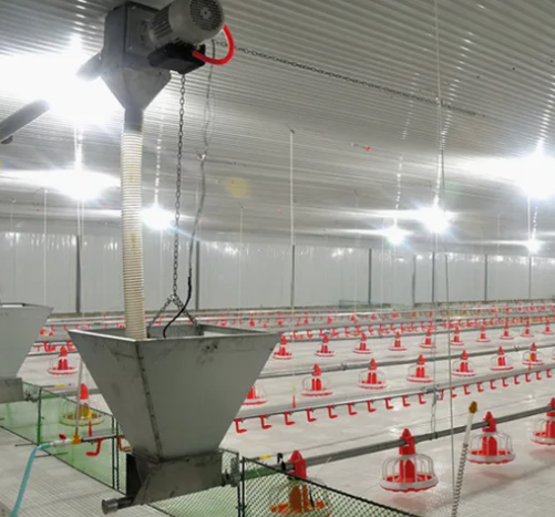 High Energy Efficiency Automatic Broiler Poultry Equipment with Galvanized Silo and Prefabricated Structure