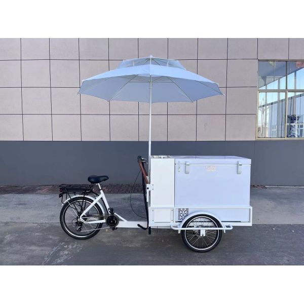 Ice Cream Cabinet Three Wheel Bike Restaurant Retail 200L Electric Ice Cream Bicycle Freezer
