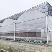 Agricultura custada crescente hidropônica da estufa da estufa dos sistemas baixa estufa plástica