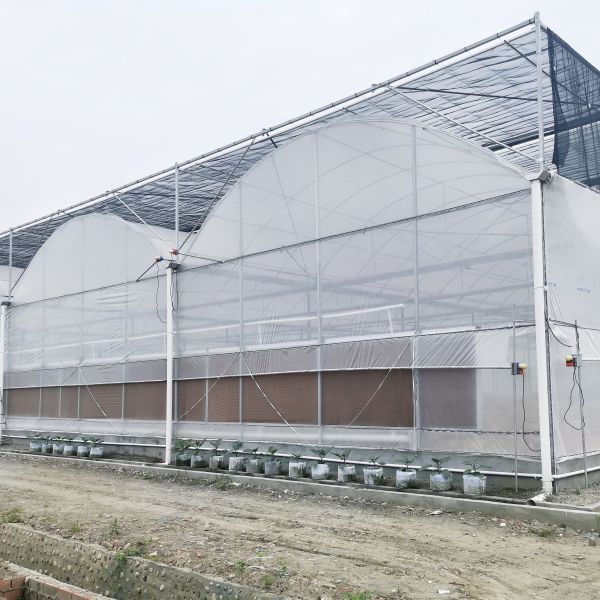 Парник Hydroponic растущего земледелия парника низкой цены парника систем пластиковый
