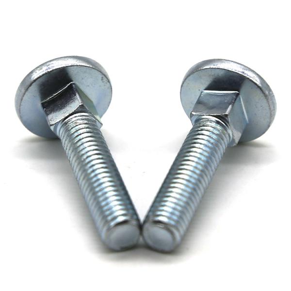 Customized carriage screws