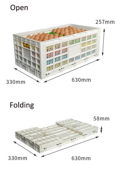 PE/PP Mesh Style Collapsible Egg Crate Moving Tote Box for Eggs Storage and Transport