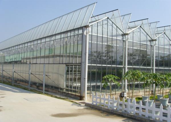 Medical Planting Agricultural Greenhouse Customized Size With Blackout Curtain