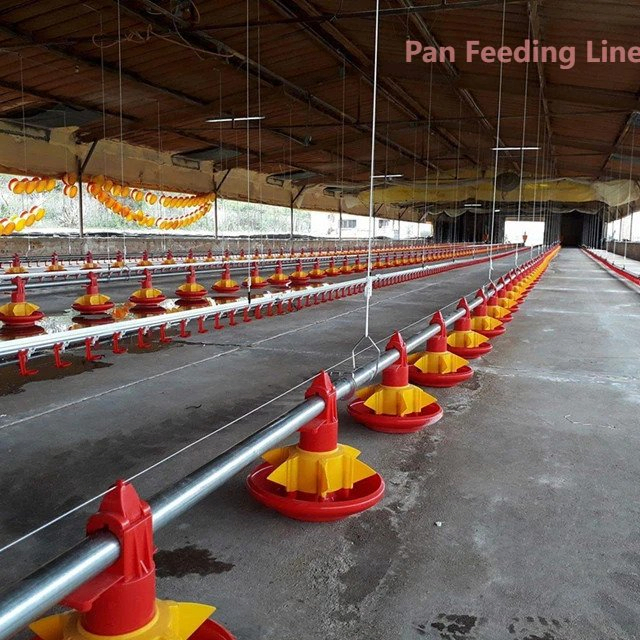 Poultry Farming Equipment Automatic Pan Feeding System for Broiler / Layer Chicken