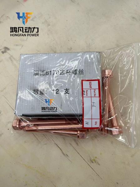 Fixed Installation Z6170.5.3c Marine Diesel Engine Piston Ring Z6170.5.2 for Generator