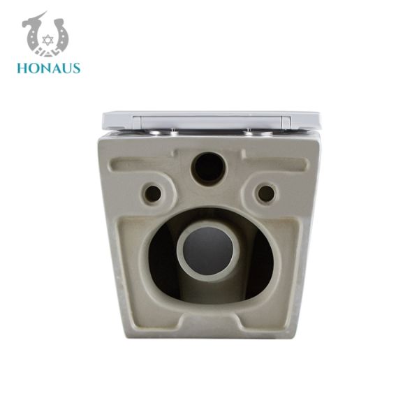 Economic Europe Wall Hung Toilet Bowl Rimless WC Washdown Type