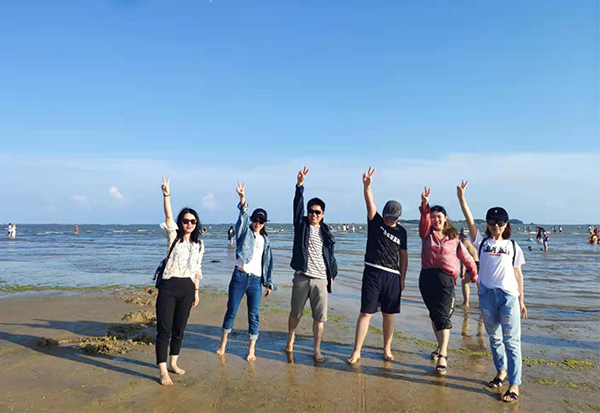 Osso de cão da pele da carne do PLC que faz a máquina com tela táctil