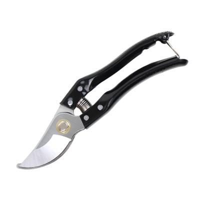 Black Handle Fruit Cutting Durable Professional Pruner Garden Scissors