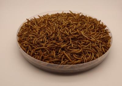 Dried Microwave Worm Bird High Protein 57% Pet Feed