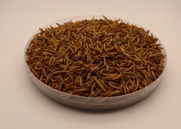 Factory Wholesale Supply Export Grade High Quality Dried Mealworm Dried Tenebrio molitor