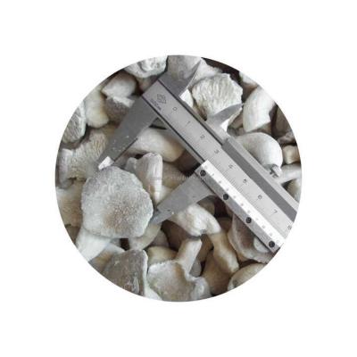 China HACCP BRC IQF Frozen Baby Oyster Mushroom Product