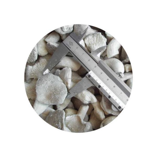 China HACCP BRC IQF Frozen Baby Oyster Mushroom Product