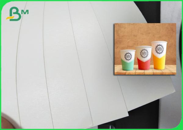 100% Biodegradable PLA Coated Food Grade Paper Roll Cup Base Paper 210g + 26g