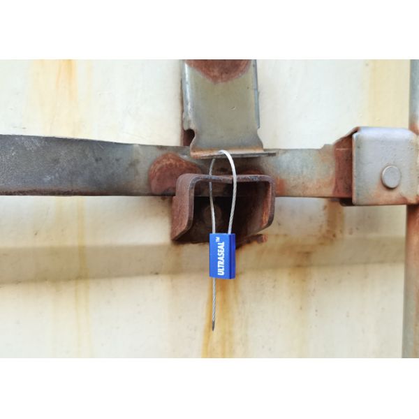 1.5mm Diameter Wire Mini Pull Tight Cable Seal with 1.96 KN Tensile Strength for Logistics Security