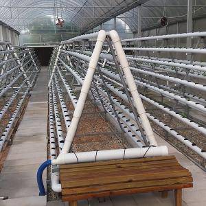 Water Efficient NFT Hydroponics System With Automated Management