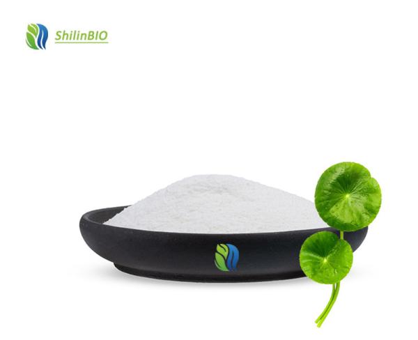 Gotu Kola Extract Powder 10% Triterpenoids