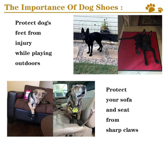 Водоустойчивый любимец обувает прочные отражательные анти- ботинки собаки выскальзывания