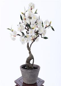 árvore artificial dos bonsais de 55CM, árvores decorativas artificiais para o