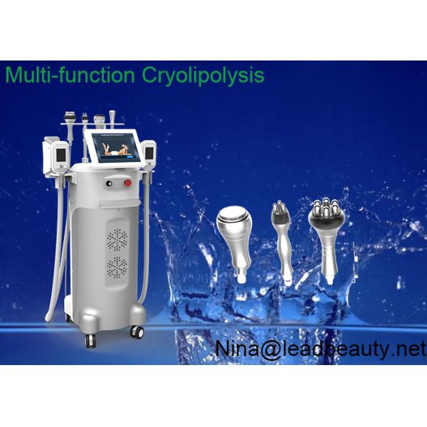 Cavitation+ RF+ Vacuum Cryolipolysis weight lose beauty machine multi-functional machine