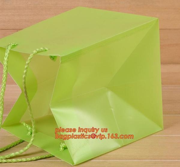 gift shopping bag with pp rope,Custom logo Printed Luxury Promotional shopping bag with Nylon rope handle,handle carrier