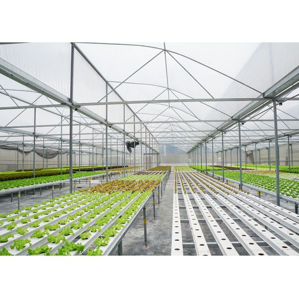 Ventilation Windproof Greenhouse With Pvc Cover Commercial Polycarbonate Greenhouse Kits