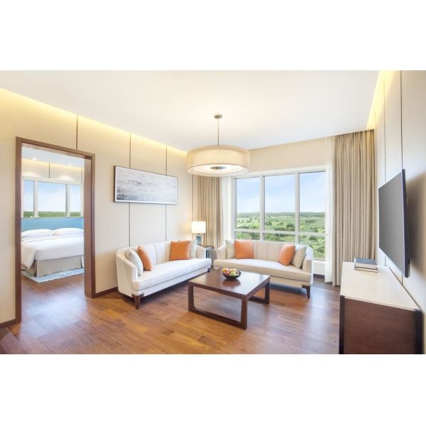 India Hyatt Hotel Blue Theme National Features Thin Structure Furnitures