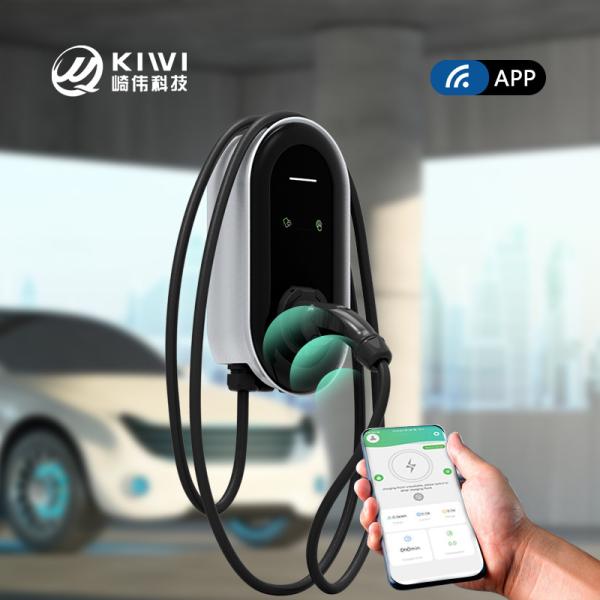 Wall-mounted/Column Installation BMW IX IX3 EV Charging Station with Type1 Plug OCPP 1.6