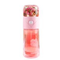 Bouteille d'eau en verre de preuve de fuite de la double couche 14oz avec le tamis