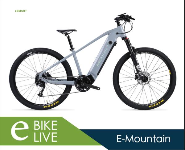 Lightweight Aluminum Alloy Electric Bike With Removable Battery And Smart Control Electric Powered Mountain Bike Gray