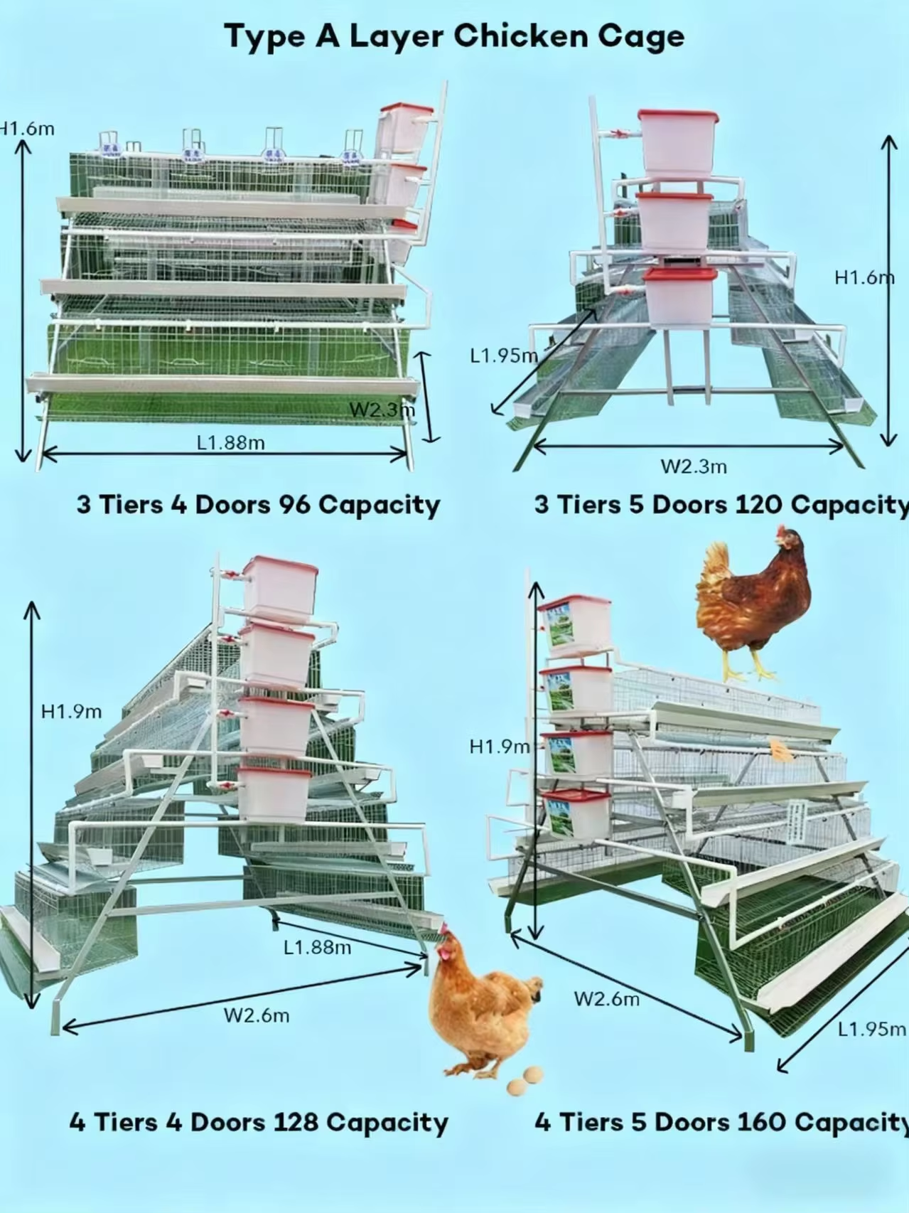 Large Scale 10000 Birds Hot Dip Galvanized Poultry Chicken Cage with Automated Feeding System