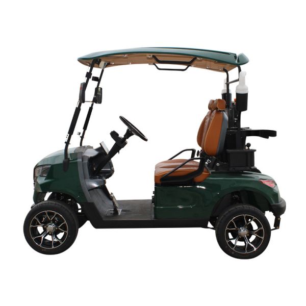 Front Disc Rear Drum Brake System Electric Golf Cart for Wedding Resort Hotel HM Mini
