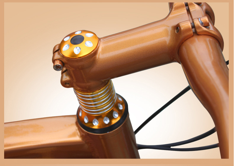 Load 150kg 30 Speed 26 Inch Wheel Fat Tire Sand Bike