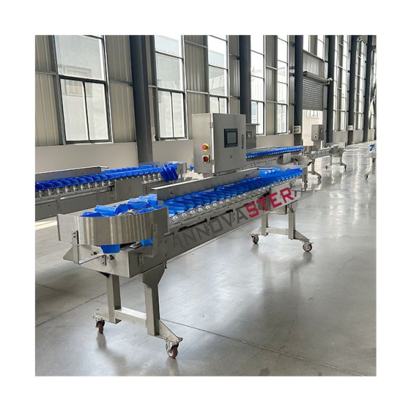 State-of-the-Art Fruit Vegetable Sorting Grading Machine with 6000x1250x1750mm Size