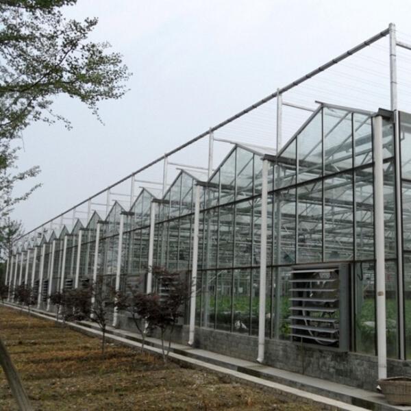 6x10 6ft X 4ft Intelligent Commercial Agricultural Glass Greenhouse For Flowers Potatoes Peppers