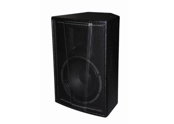 300W Live Sound Speakers Stage Monitor , Plywood Cabinet For Disco
