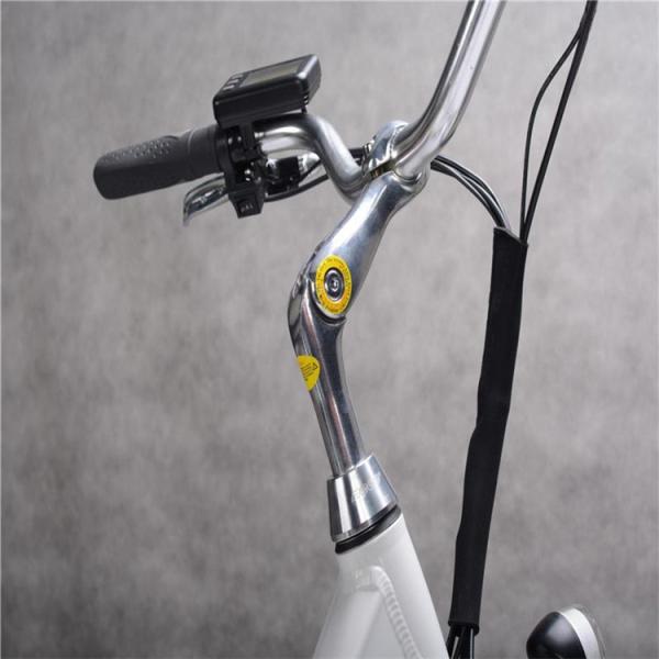 200 Watt 12 Inch Electric Bike Portable Battery 300 Lb Weight Limit 30 Km/H