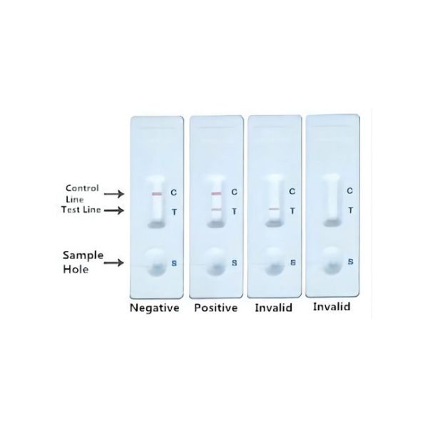 essai rapide Bursal infectieux Kit Antigen Elisa d'influenza aviaire de la maladie 10min (IBD) 50 essais/kit