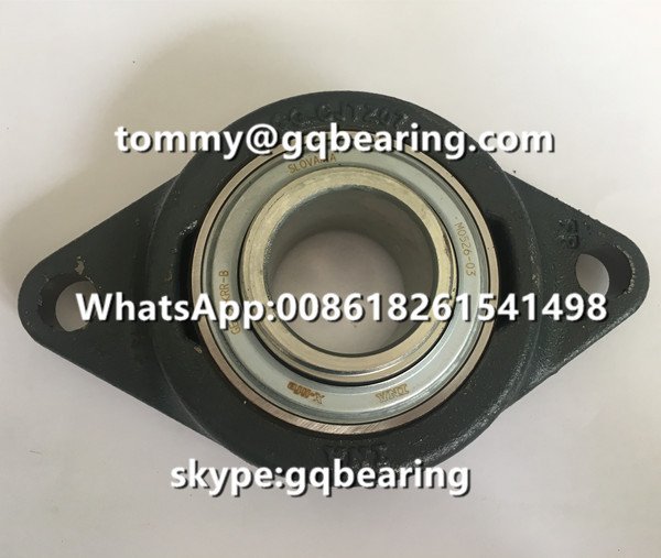 INA RCJTZ35 Two-bolt Flange Pillow Block Ball Bearing in cast iron RCJTZ35-XL Housing Units