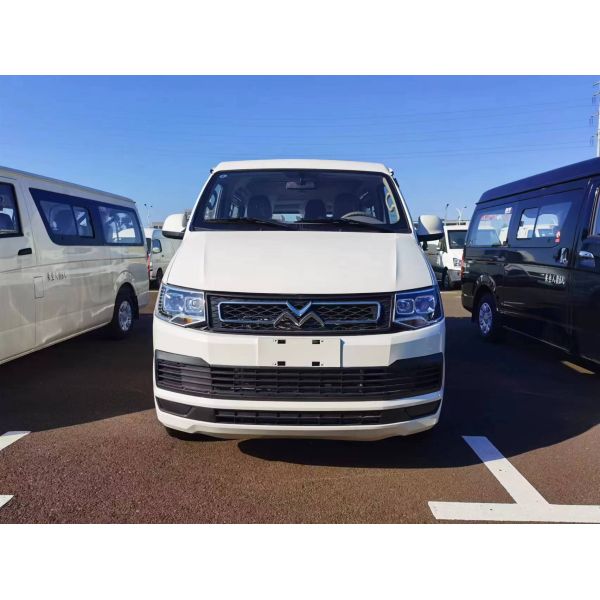 Factory Wholesale with 5600 Peak torque（N.m）passenger car Good Quality gas vehicles For Adults