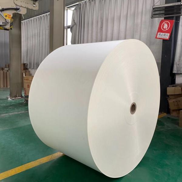 a placa do marfim de 250gsm 300gsm forra o papel da brancura FBB de 89%