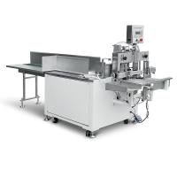 PLC Tissue Paper Napkin Packing Machine Bag Packing Machine 10-12bags/Min