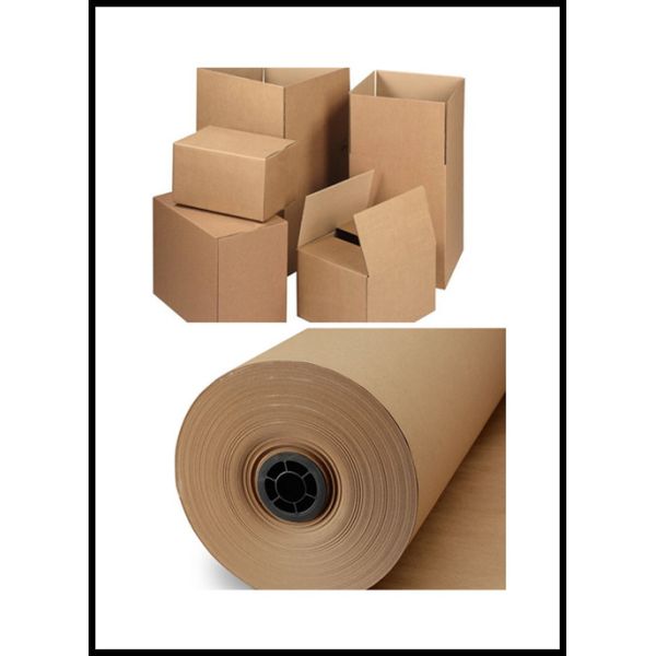 Двухшпиндельная производственная линия 250g/M2 слон крена коробки Caron бумажной доски