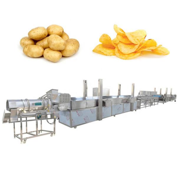 Potato Chips Frozen French Fries Production Line Automatic  High Efficiency