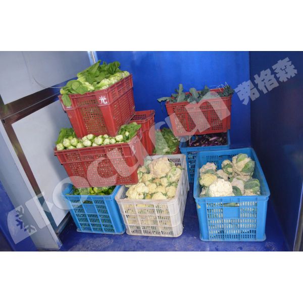 Компрессор Bizter Emerson Вакуумное охлаждающее оборудование для предварительного охлаждения салата в промышленности