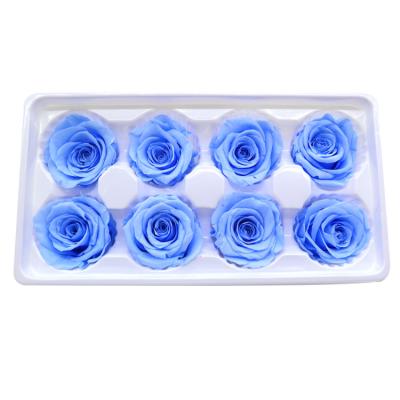 A vida longa bonita preservou a água da necessidade de Rose Heads Easy Care No