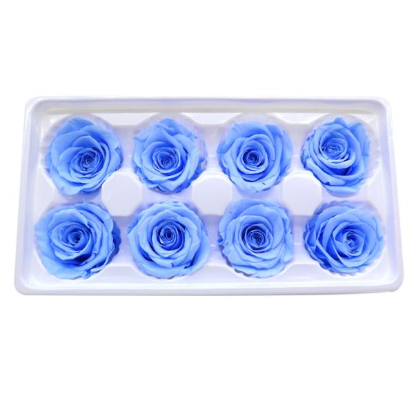 Beautiful Long Living Preserved Rose Heads Easy Care No Need Water