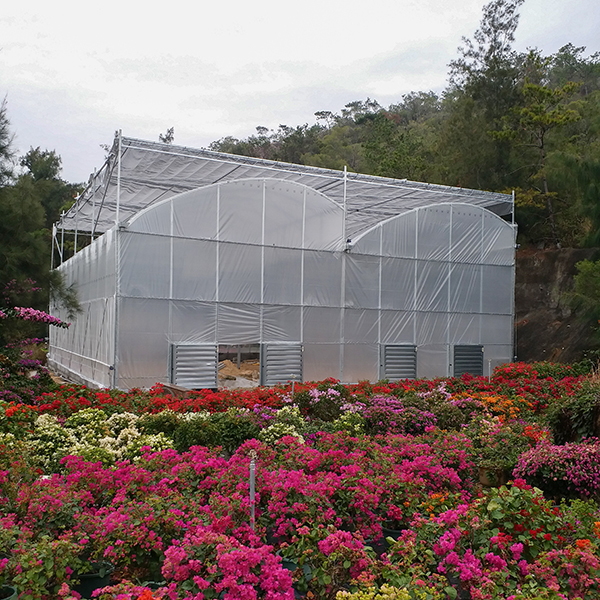 Sistema NFT Invernadero de cultivo de tomates con canal de tubería de PVC y cubierta de película