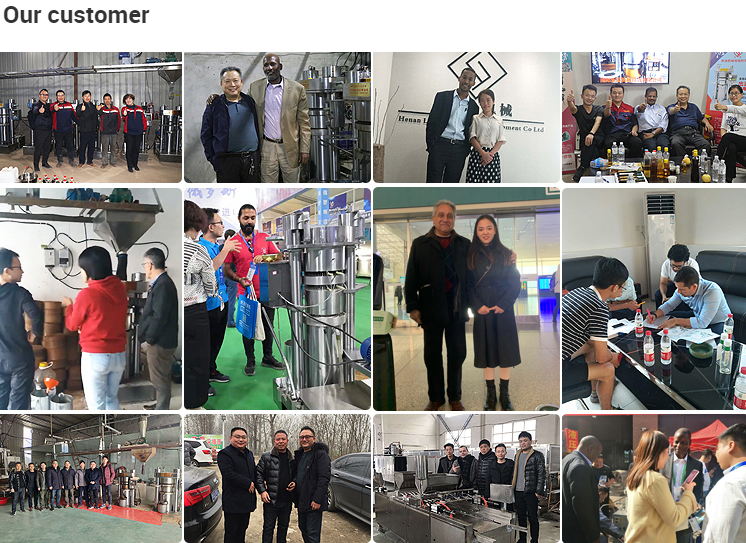 Seeds 16kg/batch Hydraulic Oil Press Machine Cold Press Avocado Oil Expeller Pressed